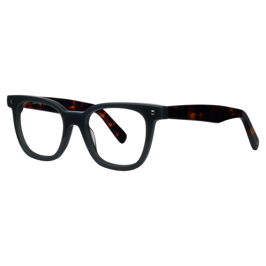 ROSVIN BUGS SQUARE PLASTIC FULL FRAME