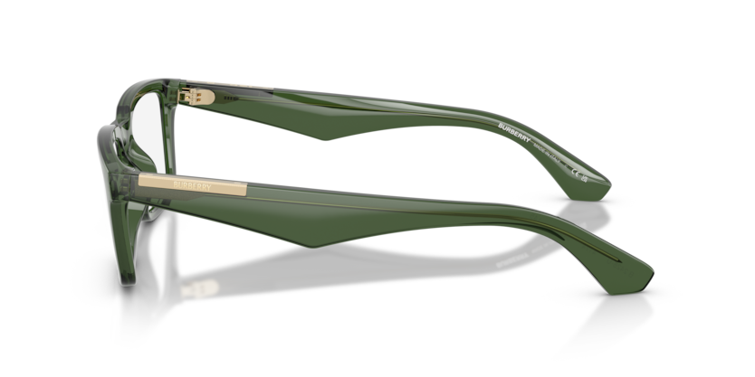 BURBERRY PLASTIC RECTANGLE GREEN FULL FRAME