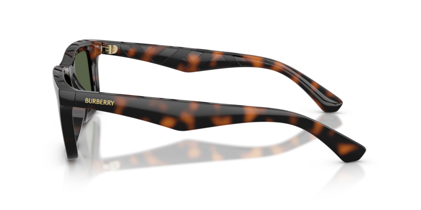 BURBERRY PLASTIC DARK HAVNA RECTANGLE FULL SUNGLASS