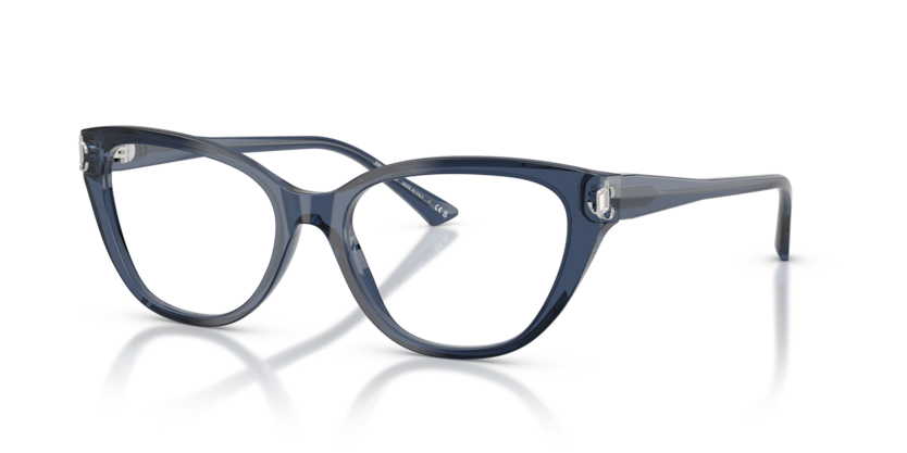 JIMMY CHOO PLASTIC TRANSPARENT NAVY CATEYE FULL FRAME