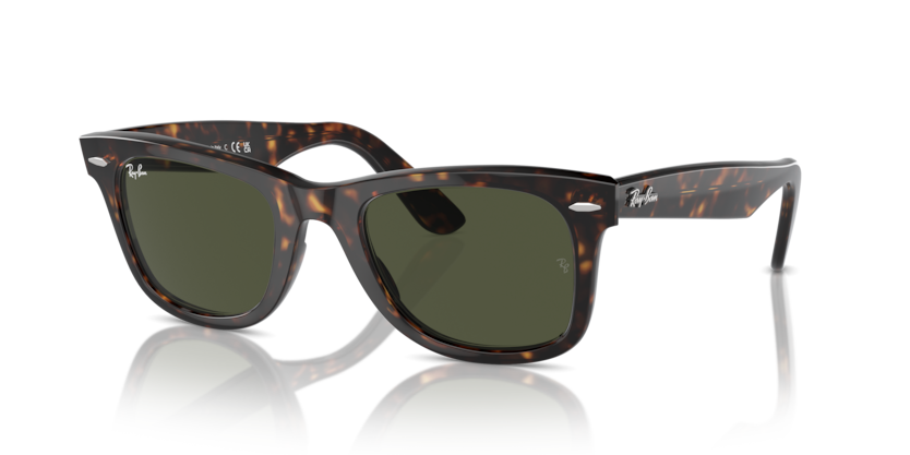 RAYBAN PLASTIC WAYFARER TORTOISE BROWN POLORISE SUNGLASS