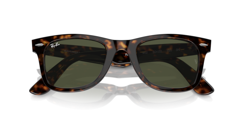 RAYBAN PLASTIC WAYFARER TORTOISE BROWN POLORISE SUNGLASS