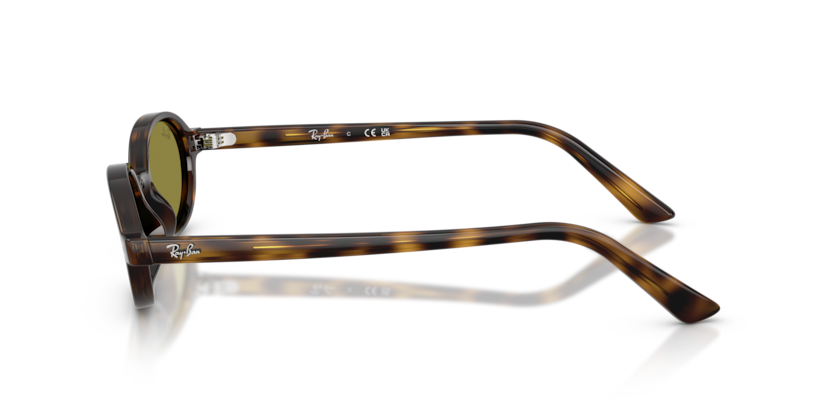 RAYBAN PLASTIC HAVANA OVAL FULL SUNGLASS