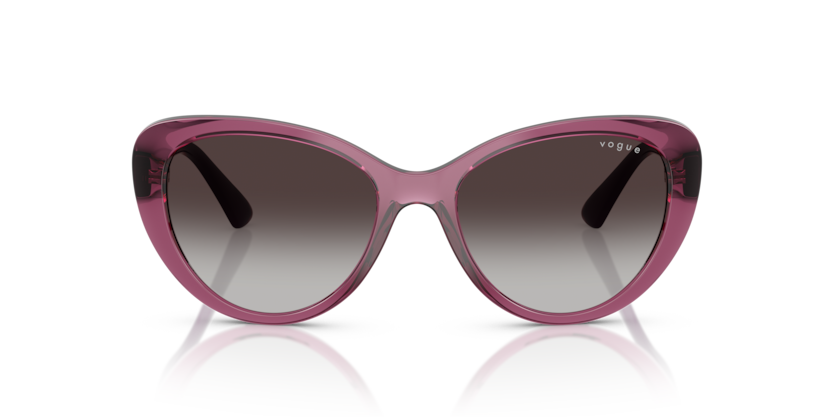 VOGUE PLASTIC TRANSPARENT PURPLE BUTTERFLY FULL SUNGLASS