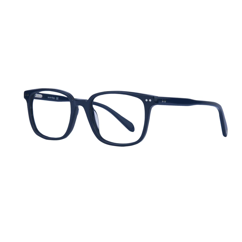 ROSVIN BUGS PLASTIC BLUE SQUARE FULL FRAME