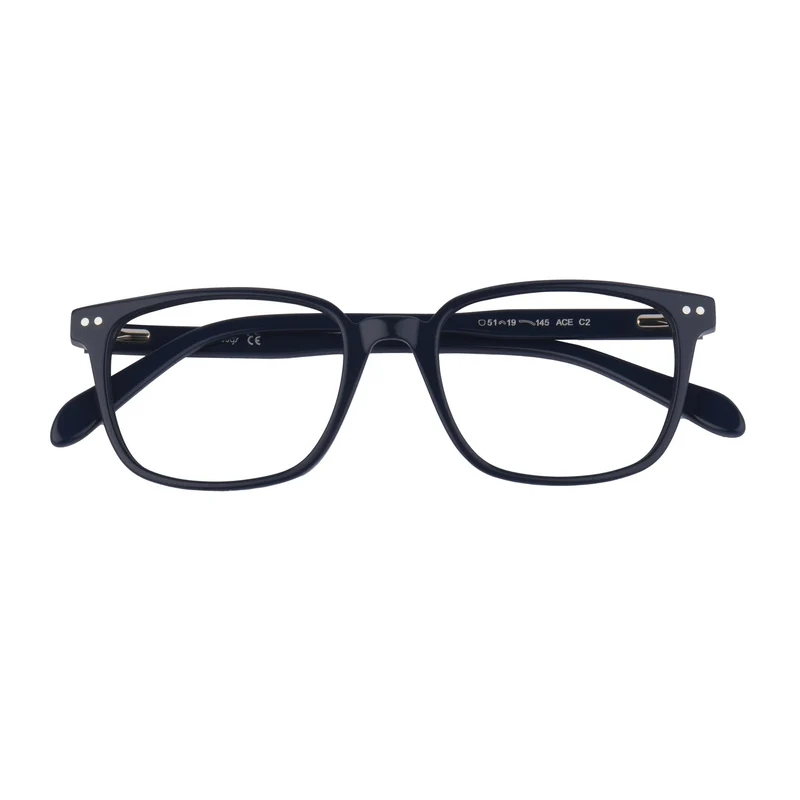 ROSVIN BUGS PLASTIC BLUE SQUARE FULL FRAME