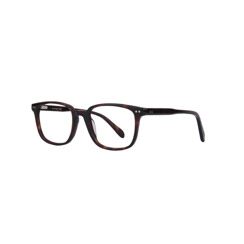 ROSVIN BUGS PLASTIC TORTOISE SQUARE FULL FRAME