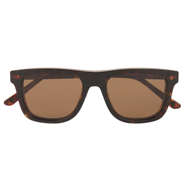 ROSVIN BUGS PLASTIC TORTOISE BRN POLORISE SQUARE CLIP ON FULL FRAME