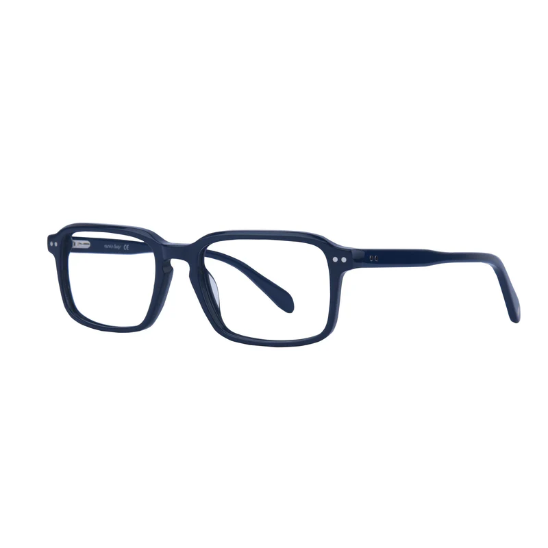 ROSVIN BUGS PLASTIC BLUE SQUARE FULL FRAME