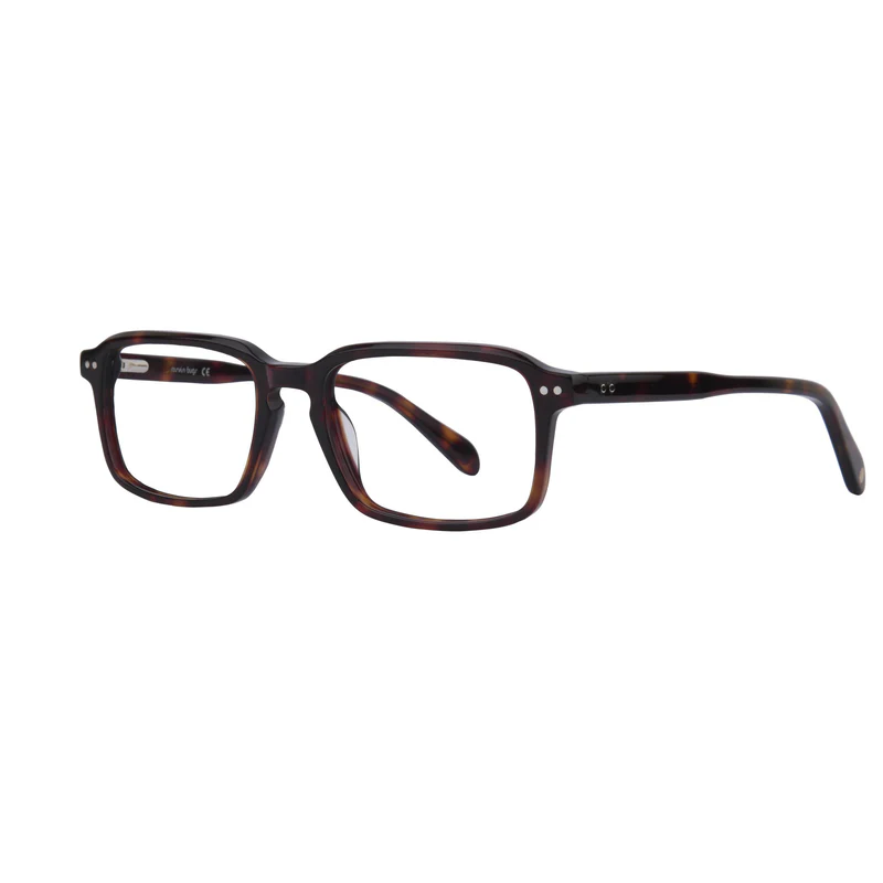 ROSVIN BUGS PLASTIC TORTOISE SQUARE FULL FRAME