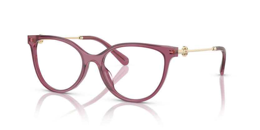 TORY BURCH PLASTIC TRANSPERENT CHERRY FULL FRAME