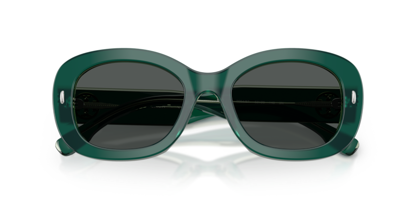 TORY BURCH PLASTIC IRREGULAR DARK GREEN FULL SUNGLASS