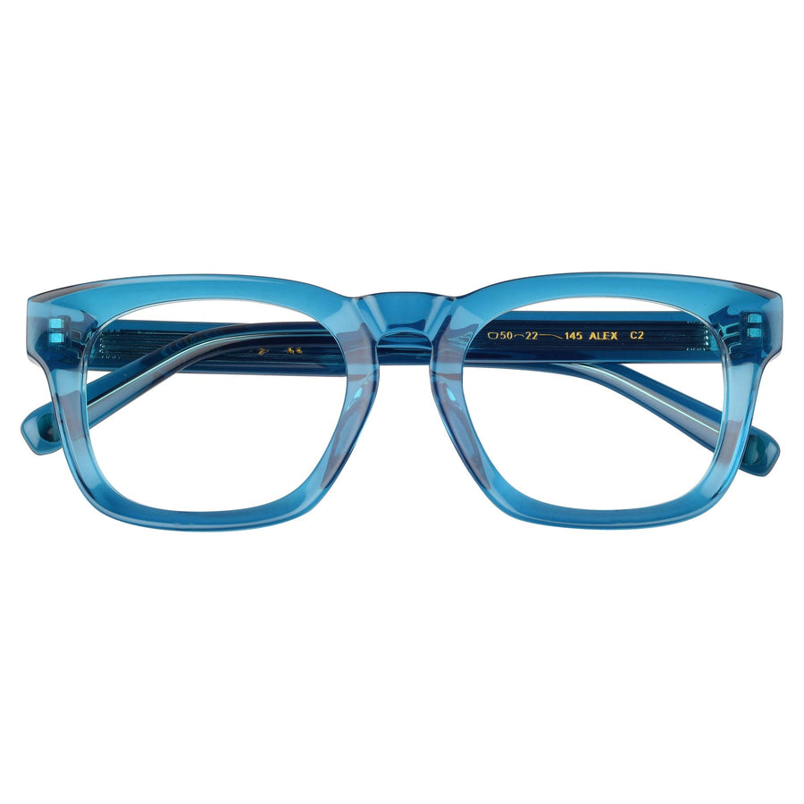 ROSVIN BUGS SQUARE PLASTIC  FULL FRAME