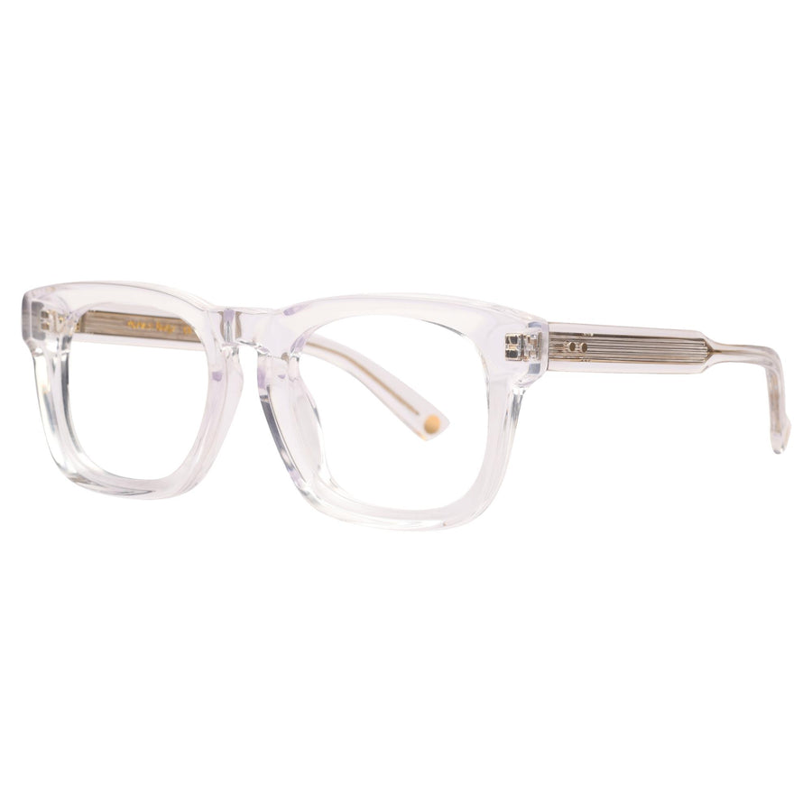 ROSVIN BUGS SQUARE PLASTIC TRANSPERENT FULL FRAME