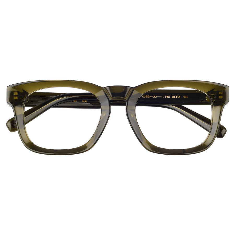ROSVIN BUGS SQUARE PLASTIC FULL FRAME