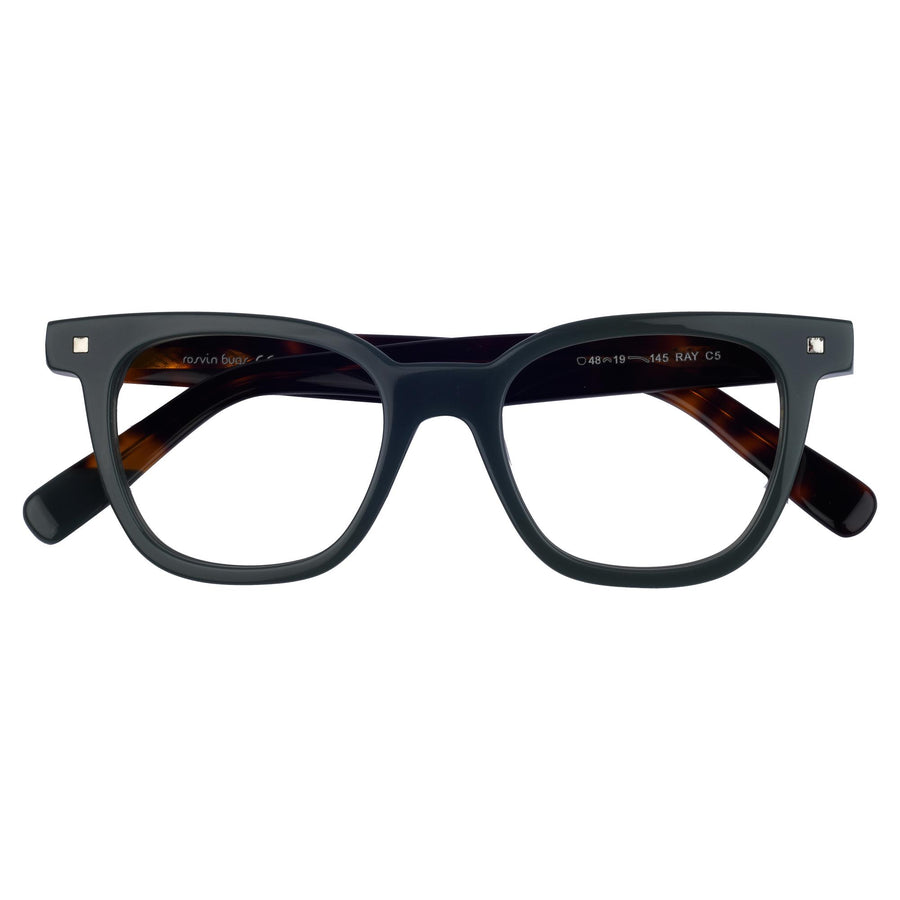 ROSVIN BUGS SQUARE PLASTIC FULL FRAME