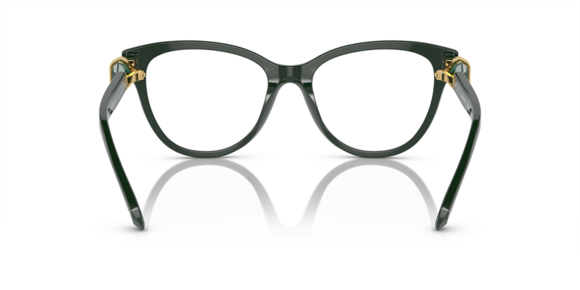SWAROVSKI PLASTIC ROUND FULL FRAME