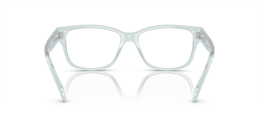 SWAROVSKI OPAL LIGHT GREEN PLASTIC FULL FRAME